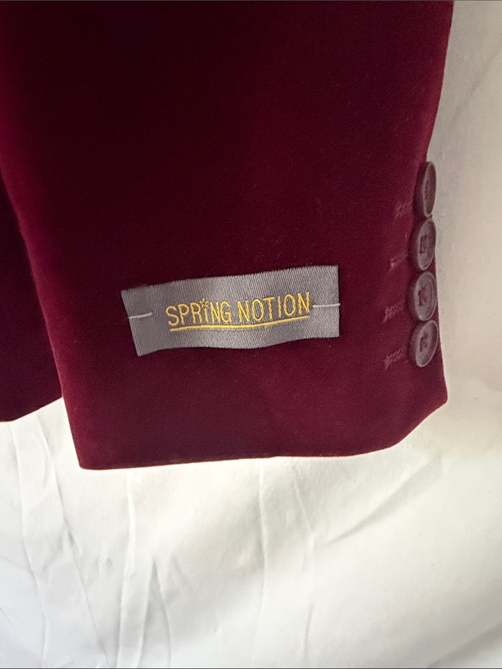 Deep Burgundy Velvet Kids Blazer - Single-Button Dress Jacket - Picture 2 of 5